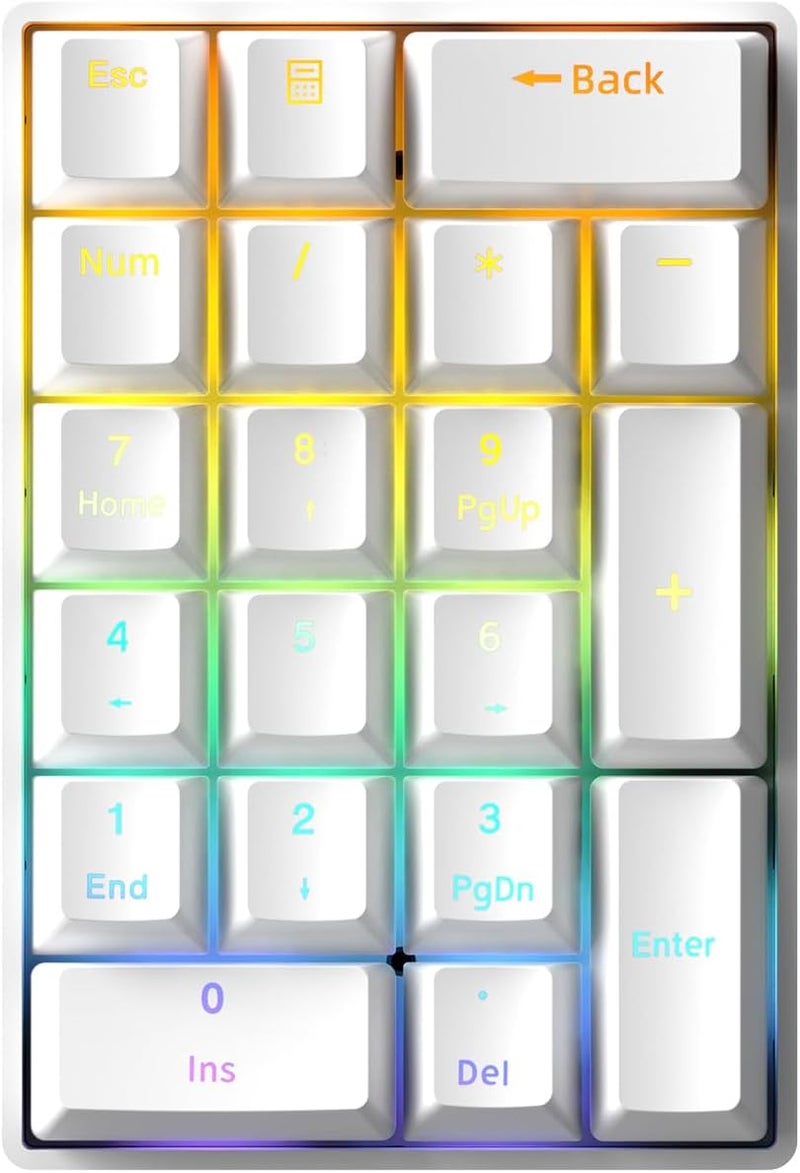 TISHLED Wired Mechanical Numpad Rainbow LED Backlit 20-Key Number Pad Brown Switches Shine Through Keycaps Detachable Cable Numeric Keyboard for PC/Laptop/Win/Mac, White - Image 1